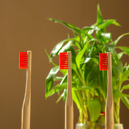 bamboo toothbrush