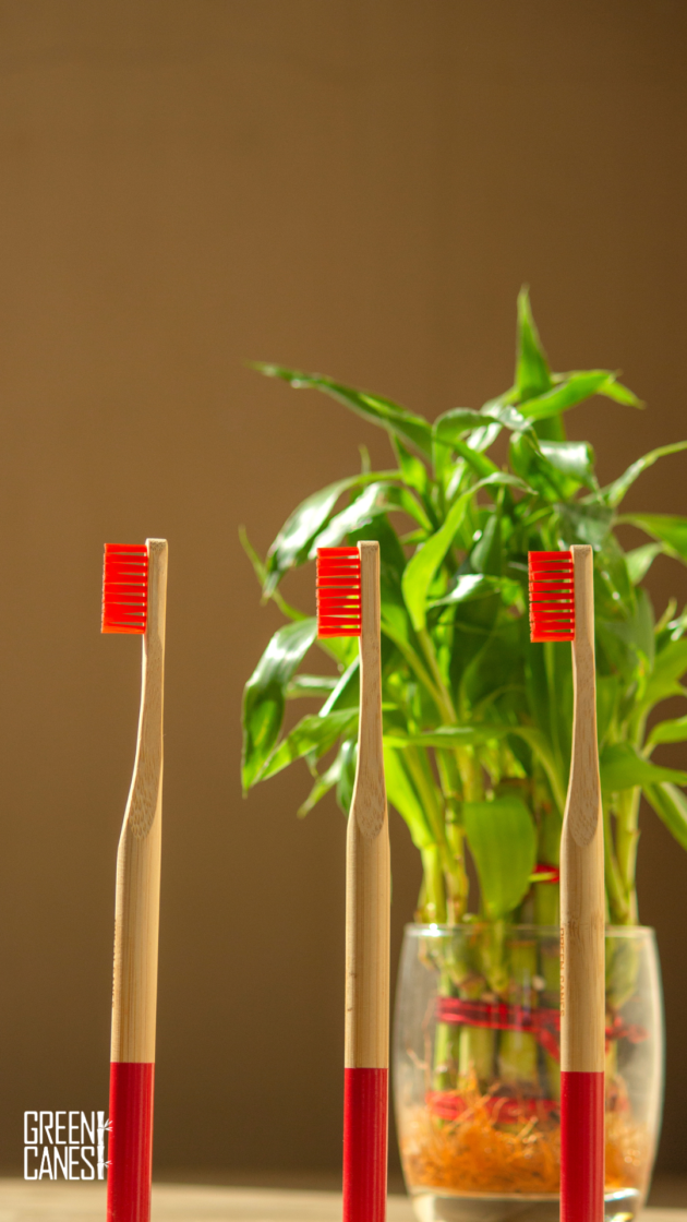 bamboo toothbrush